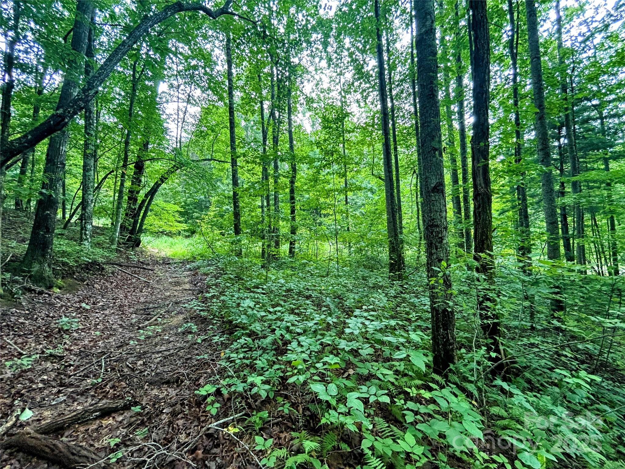 Little Warrior Mtn Estates - Land