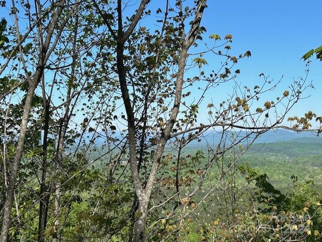 Yellowtop Mountain Estates - Land
