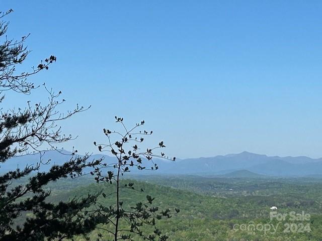 Yellowtop Mountain Estates - Land