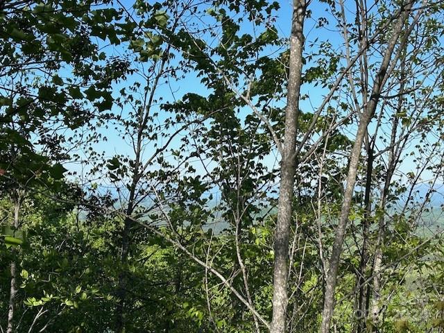 Yellowtop Mountain Estates - Land