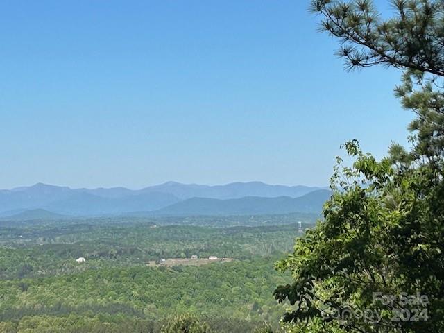 This is much more than just a mountaintop view! This spectacular lot is easy to access, extremely builder friendly, and might literally have the best view in Rutherford County! Just off Bostic Sunshine Hwy this gated community is ~5 minutes from Bostic and an easy ~15 minutes from Forest City, restaurants and grocery. If you're looking for a spectacular view with easy access this is it!