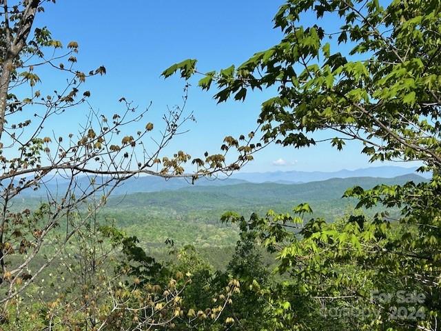 Yellowtop Mountain Estates - Land