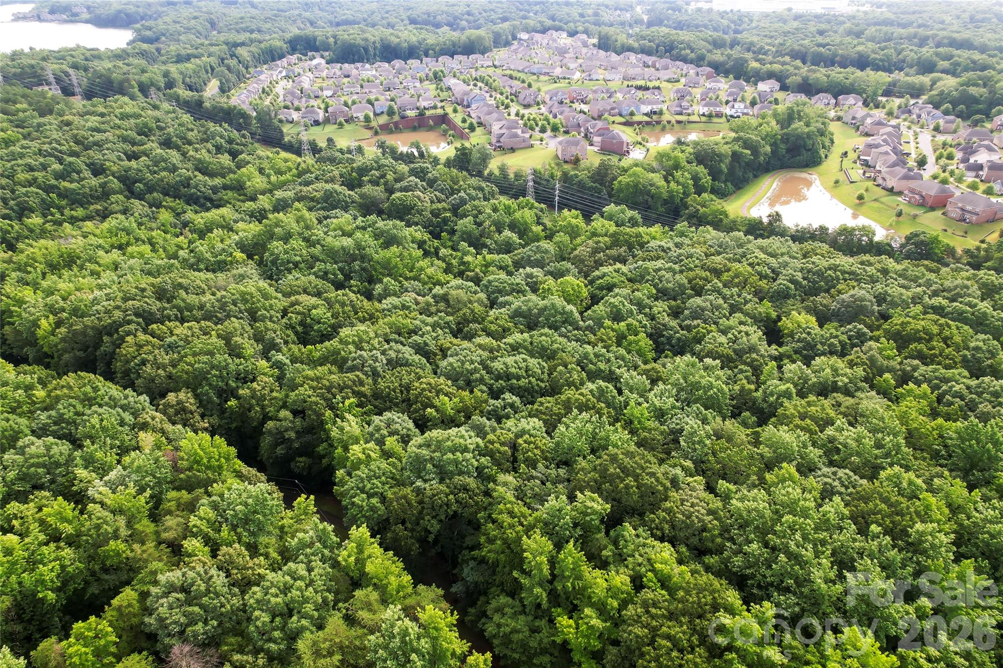 The Sanctuary - Land