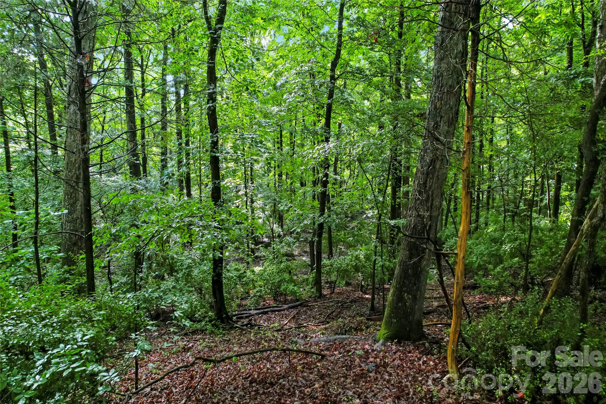 The Sanctuary - Land