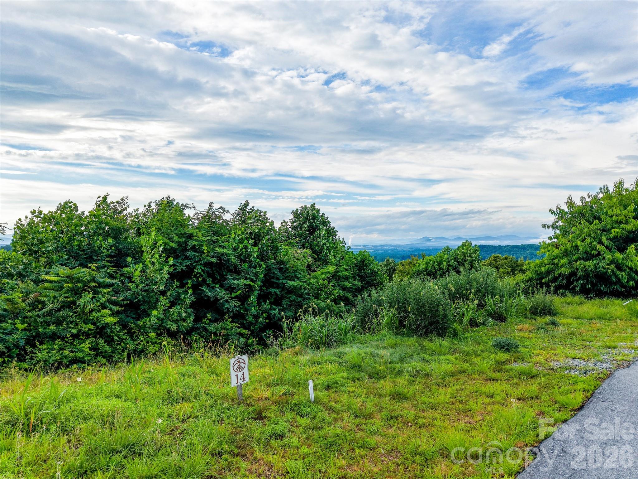 Discover an exceptional opportunity to build your dream mountain retreat on this stunning 2.63-acre homesite in the prestigious gated community of Skydance. Offering breathtaking long-range mountain views, this remarkable property captures the beauty and tranquility of the surrounding landscape. Nestled among mature hardwoods in a peaceful, private setting, the lot provides the perfect balance of natural serenity and upscale mountain living. A 4-bedroom septic permit is already in place, allowing you to begin planning your custom home with ease. Whether you're envisioning a luxurious full-time residence or an elegant mountain getaway, this extraordinary property offers an unparalleled setting to create your custom mountain home.