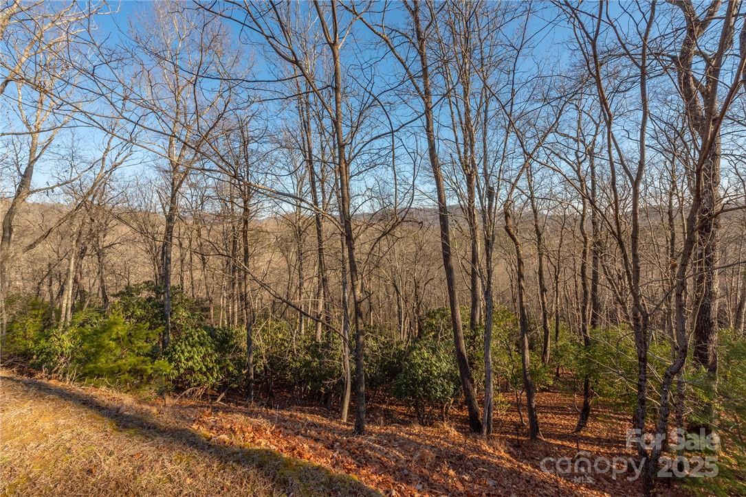 Homestead at Mills River - Land