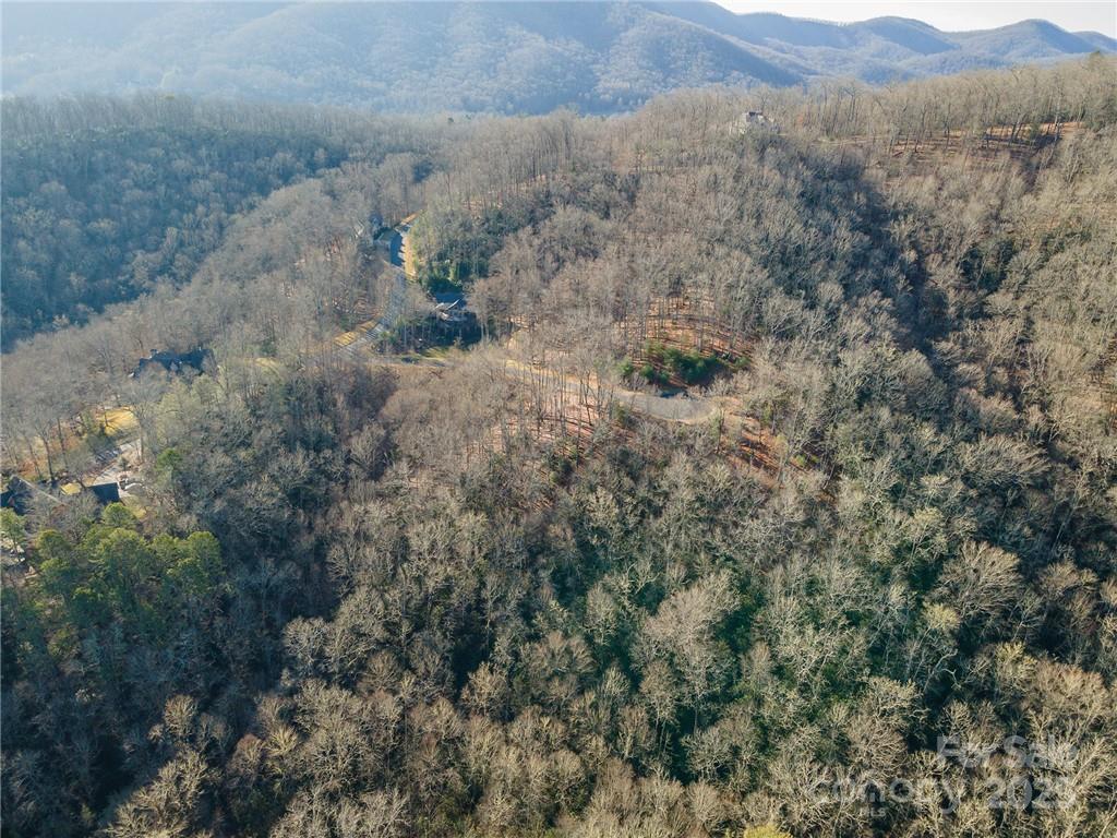 Homestead at Mills River - Land