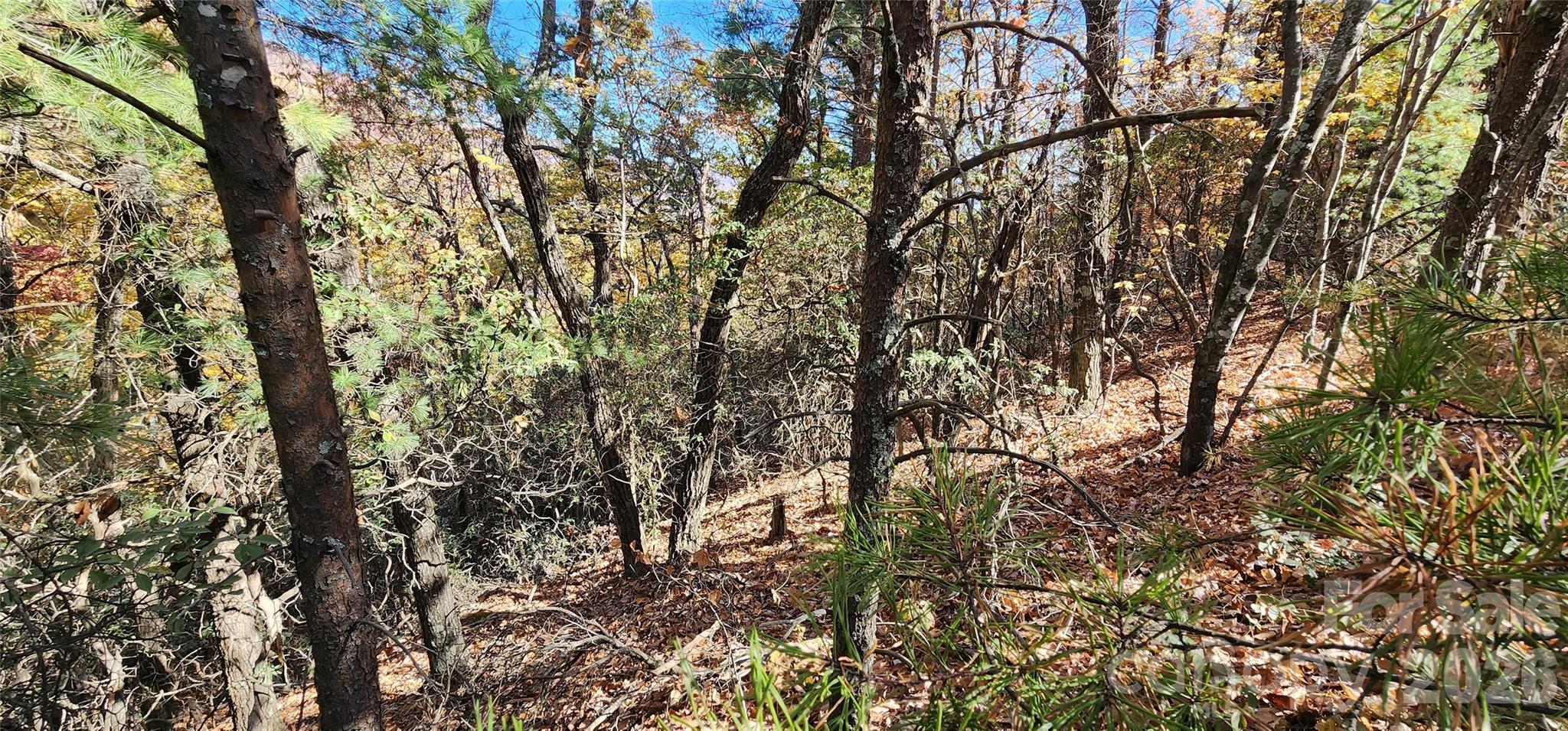 Pinnacle Ridge - Land