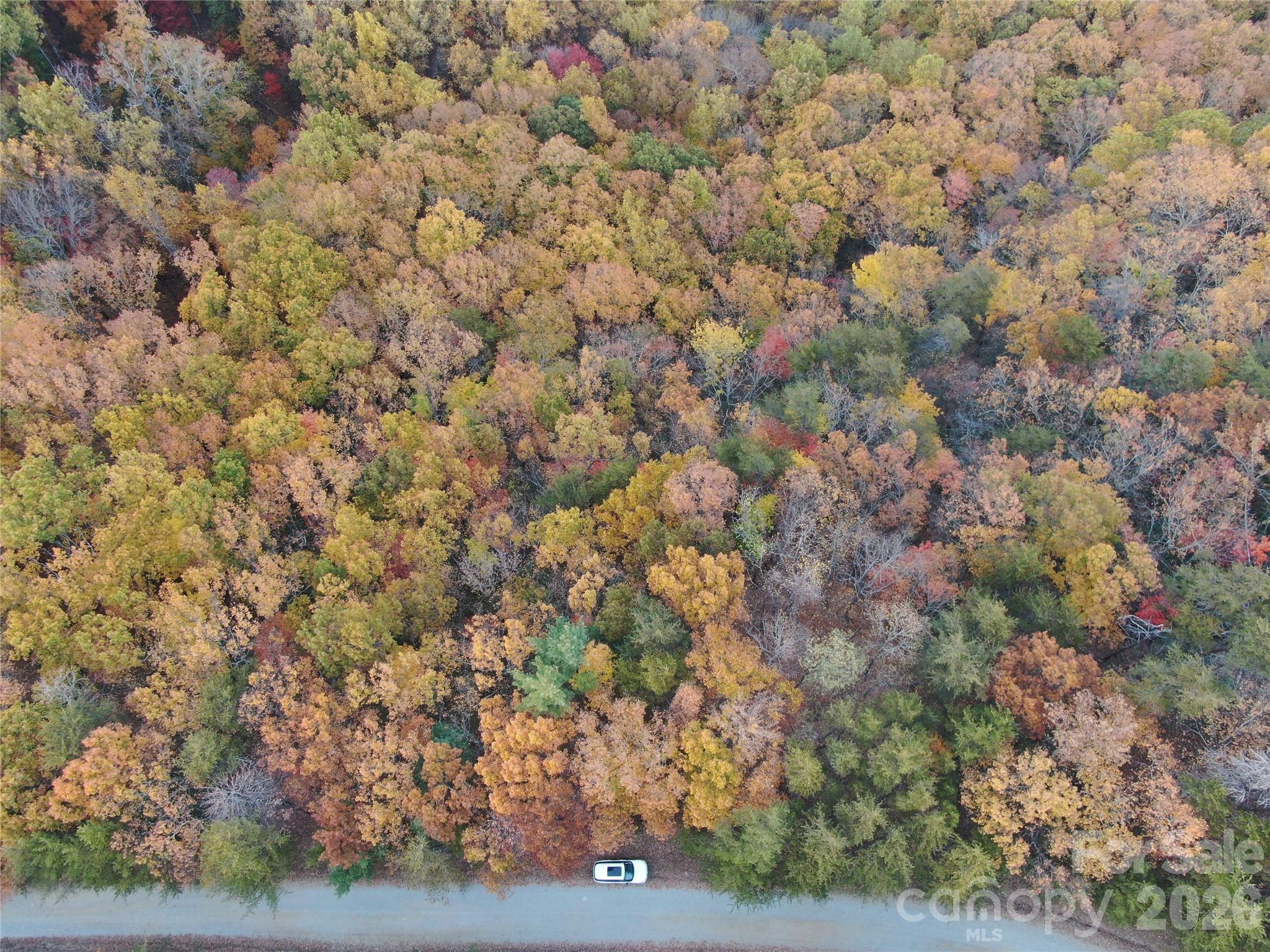 Pinnacle Ridge - Land