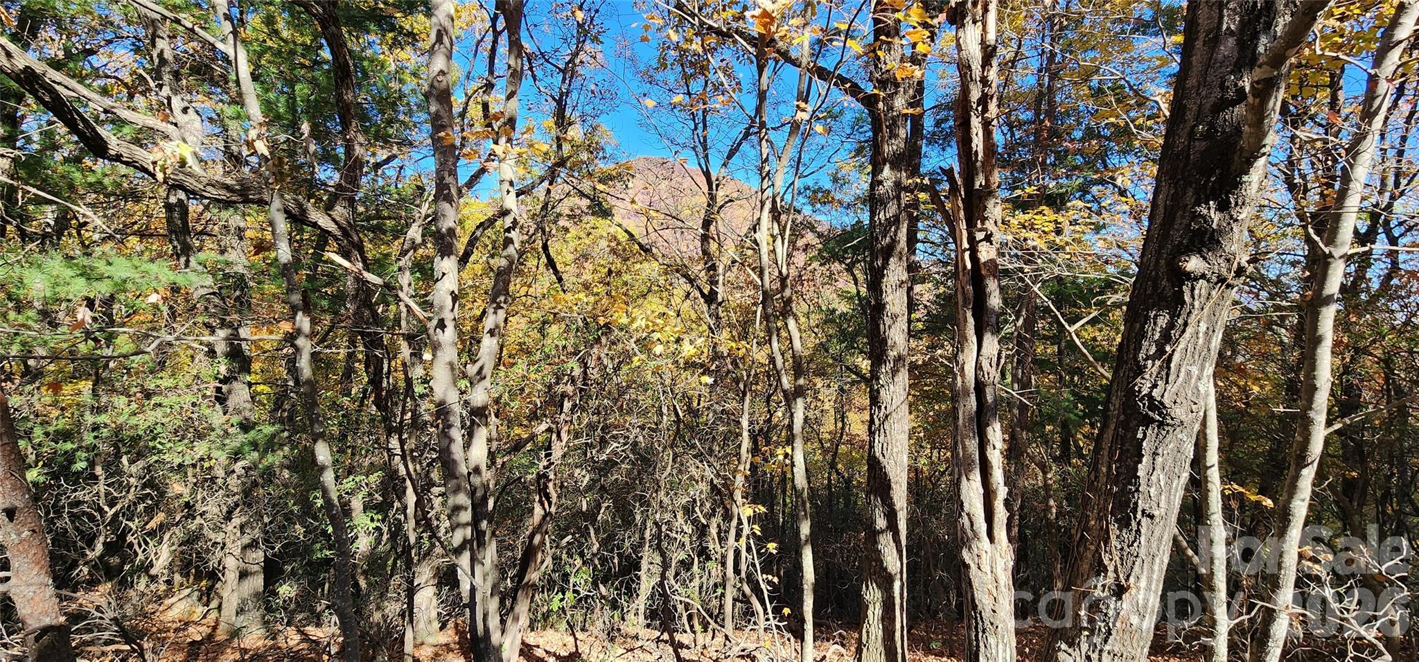 Pinnacle Ridge - Land