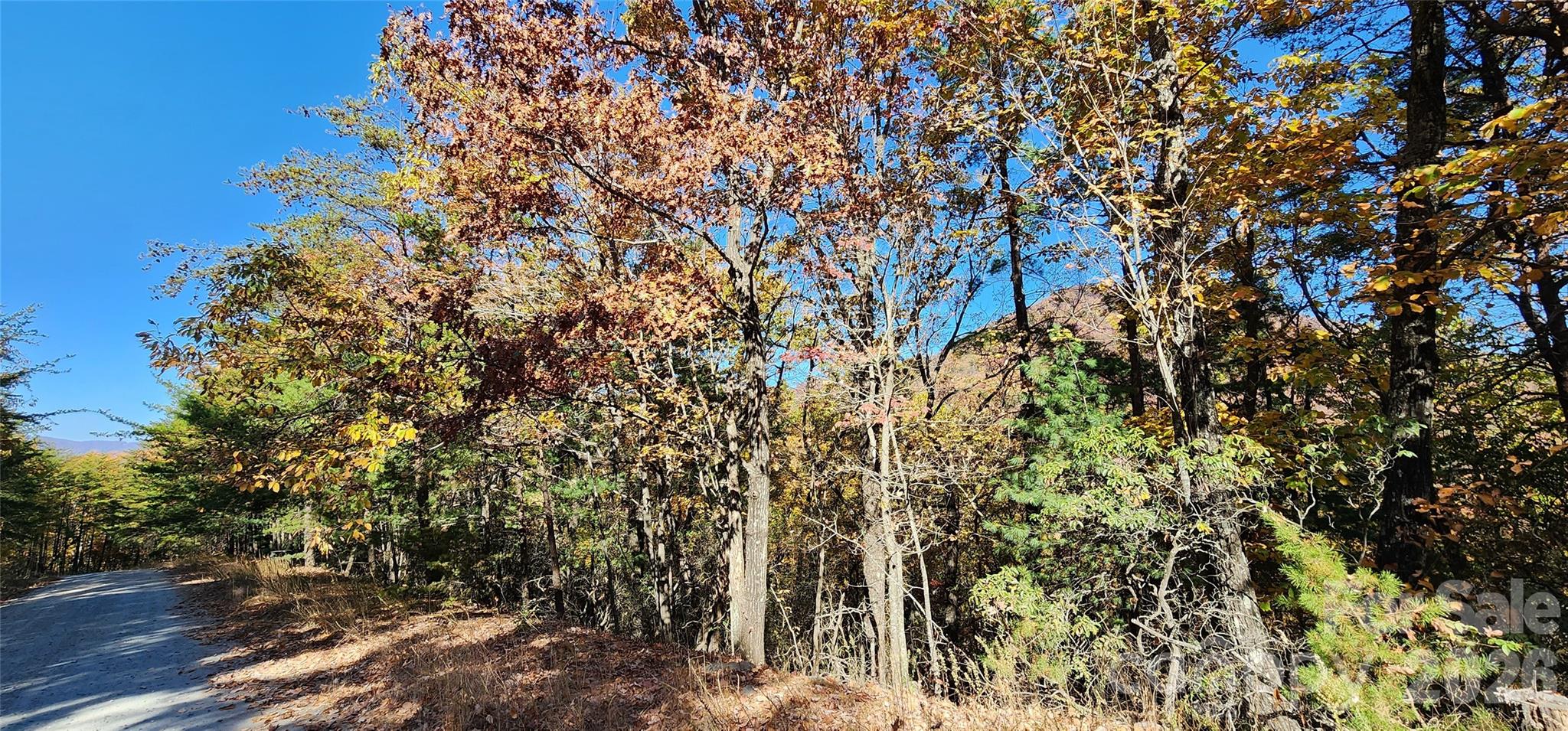 Pinnacle Ridge - Land