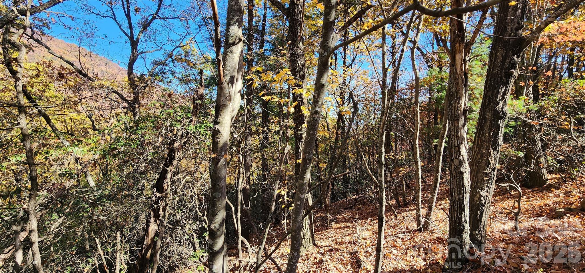 Pinnacle Ridge - Land