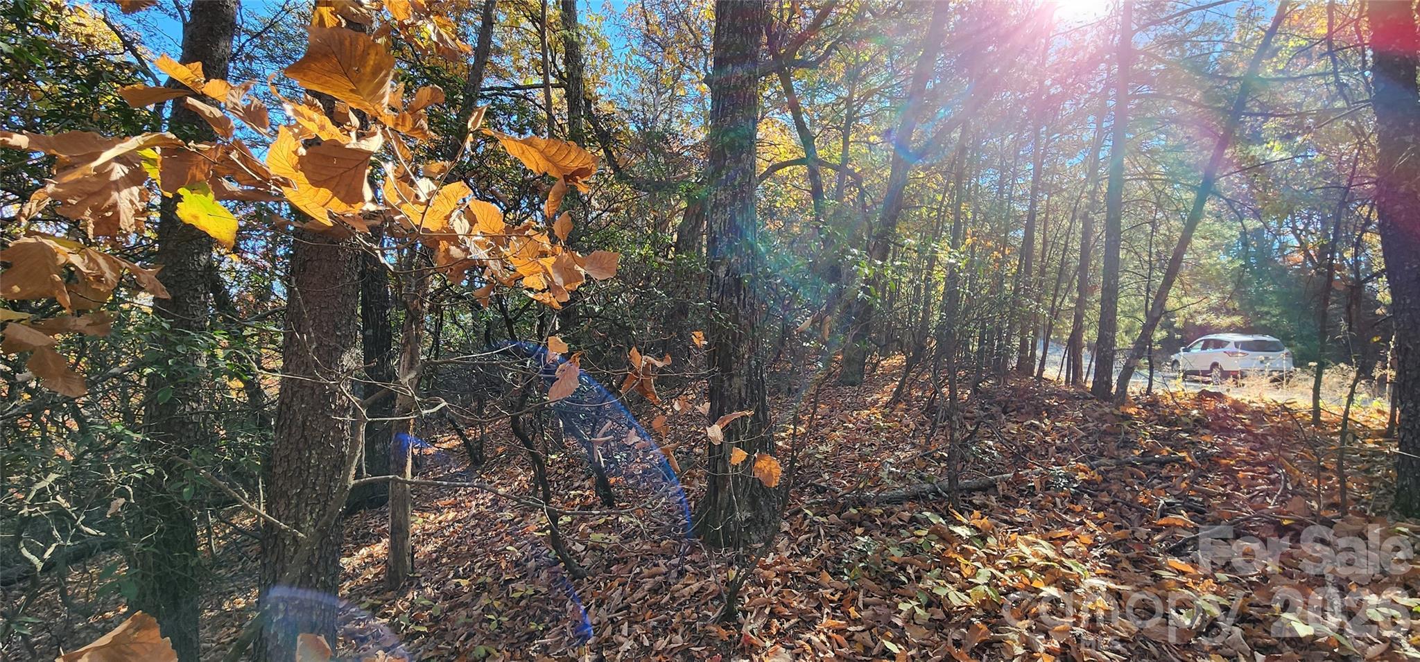 Pinnacle Ridge - Land