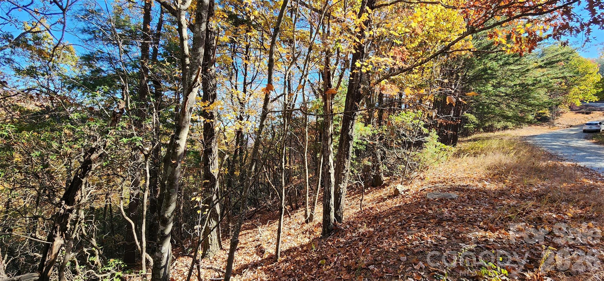 Pinnacle Ridge - Land