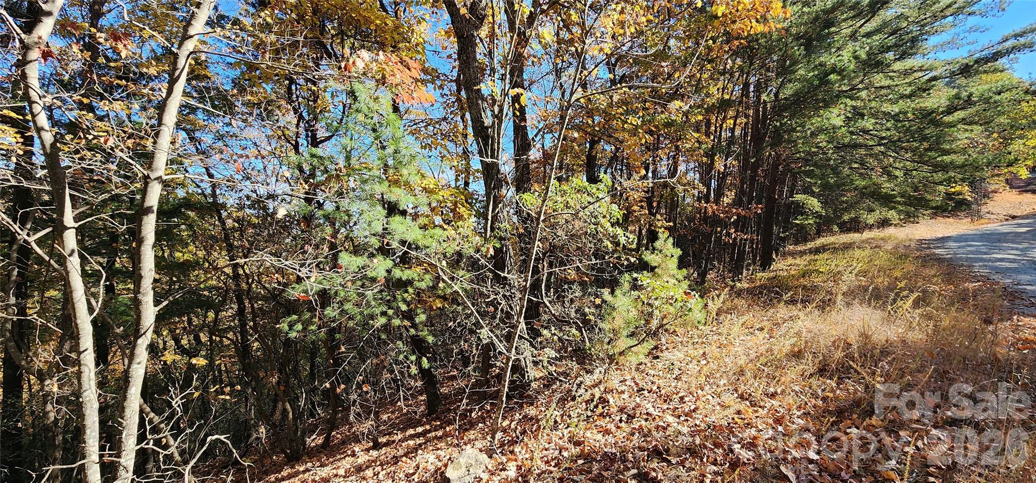 Pinnacle Ridge - Land