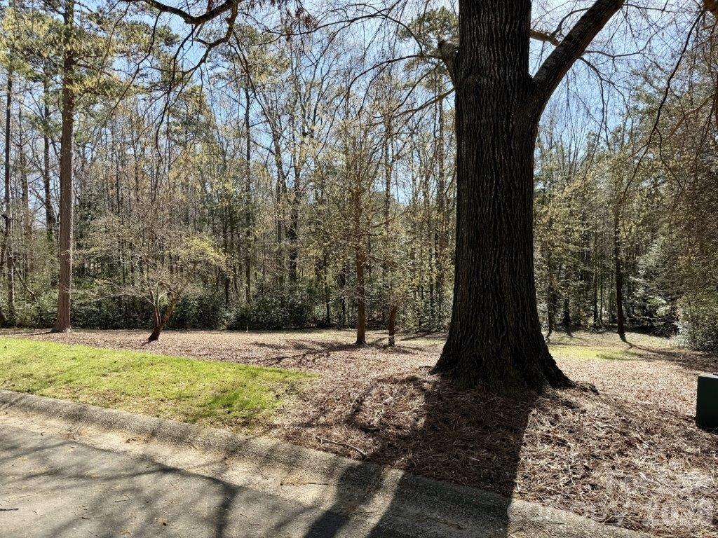 Uwharrie Point - Land