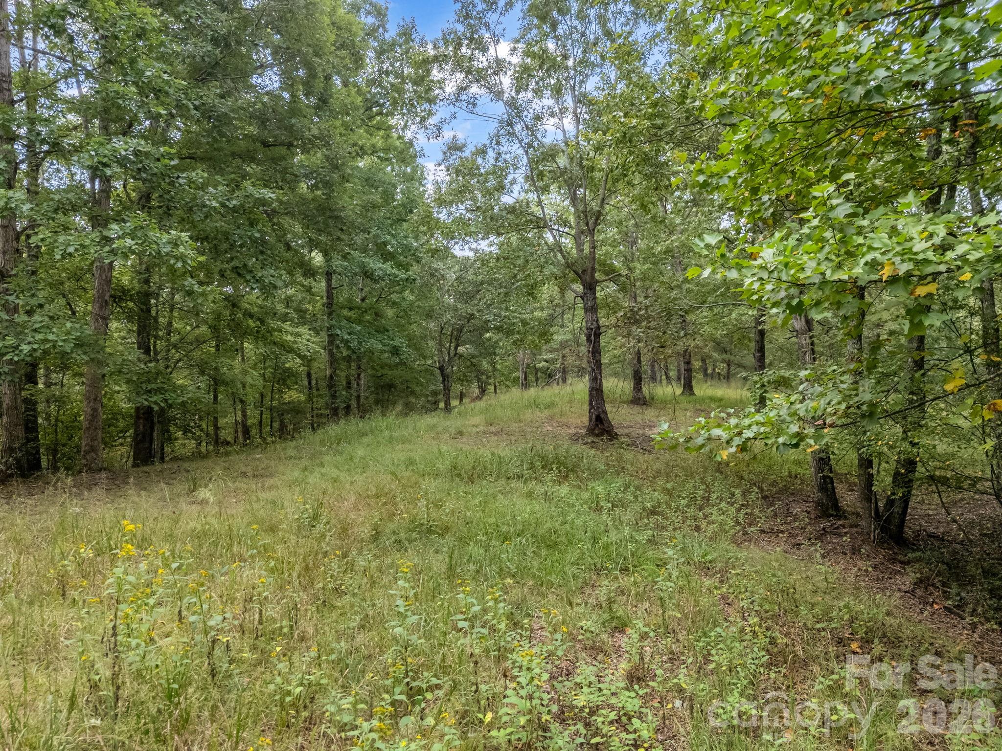 Lake Adger North Highland Farms - Land
