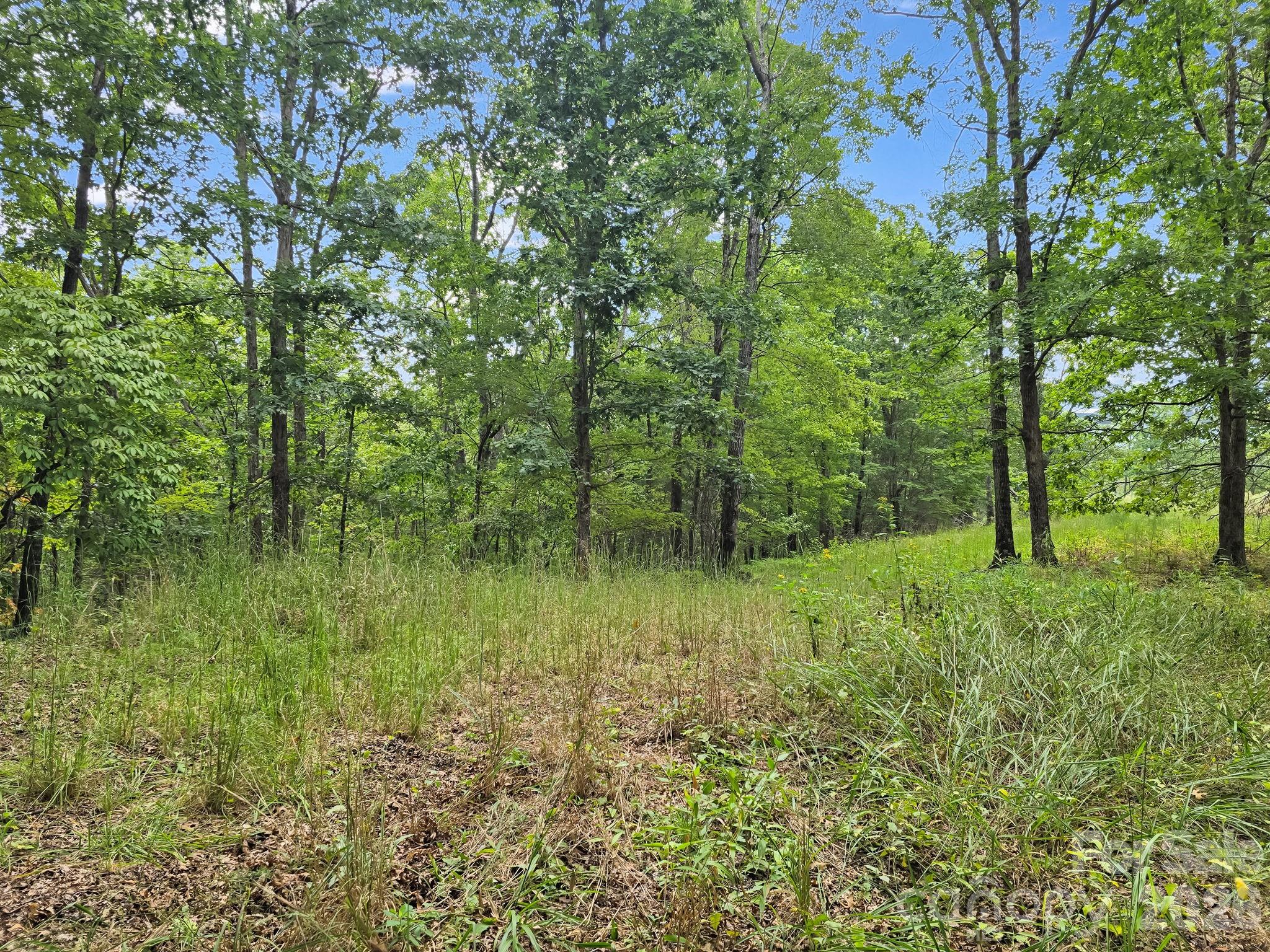 Lake Adger North Highland Farms - Land