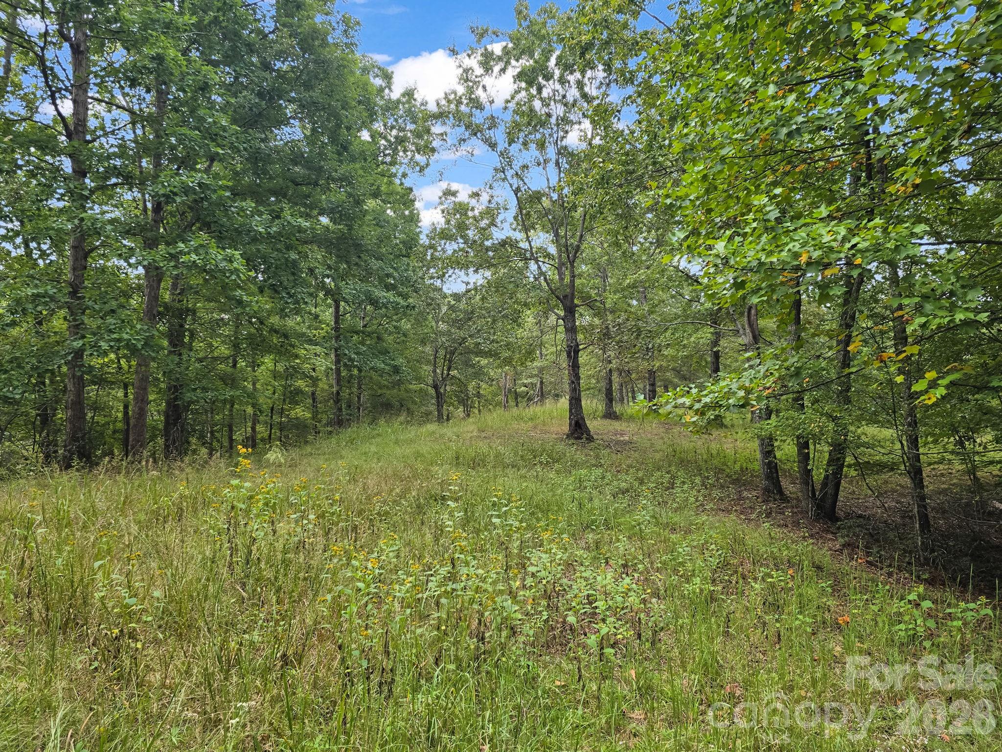 Lake Adger North Highland Farms - Land