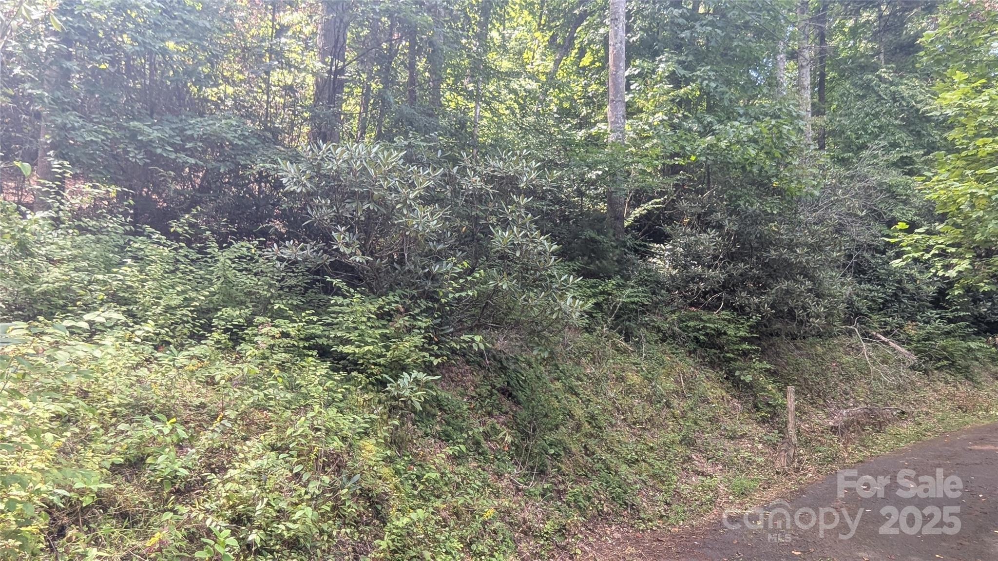 Build your dream home just minutes from downtown Waynesville on 0.2874-acre lot with city water and sewer available in Phase 1 of Chestnut Walk Subdivision! Enjoy the convenience of paved roads and easy access while being only a short drive to shopping, dining, and all the charm Waynesville has to offer. This homesite should make construction simple and cost-effective, offering an ideal opportunity for a primary residence, second home, or investment property. Rarely do lots with this combination of location, utilities, and accessibility come on the market with the availability of city water and city sewer.