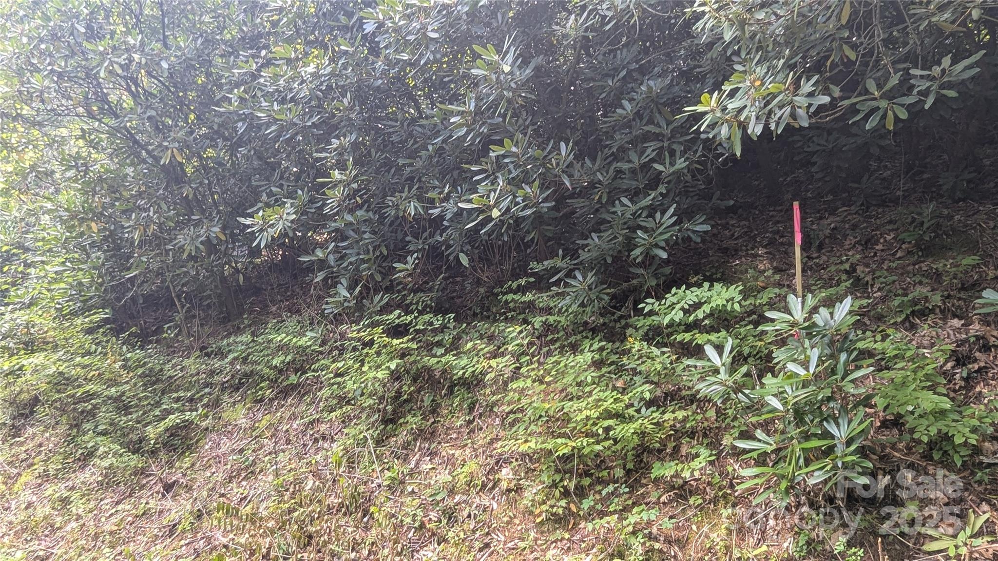Chestnut Walk - Land