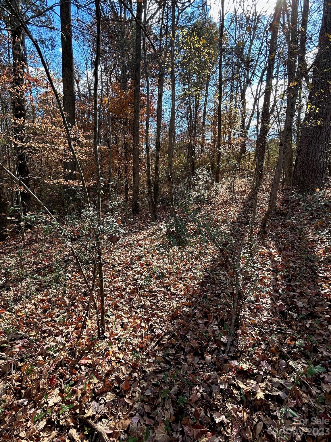This vacant lot has so much potential for building your dream home, no matter what that might look like, or subdividing and selling lots for a few houses. The lot is wooded with a very old house in the back right. There is a small trail at the corner stake marked with a pink ribbon by the road in front of the lot. The structure did have a well, but the sellers do not know if it works. They are not aware of a septic tank on the lot. All items that exist on the lot at the time of contract will remain.