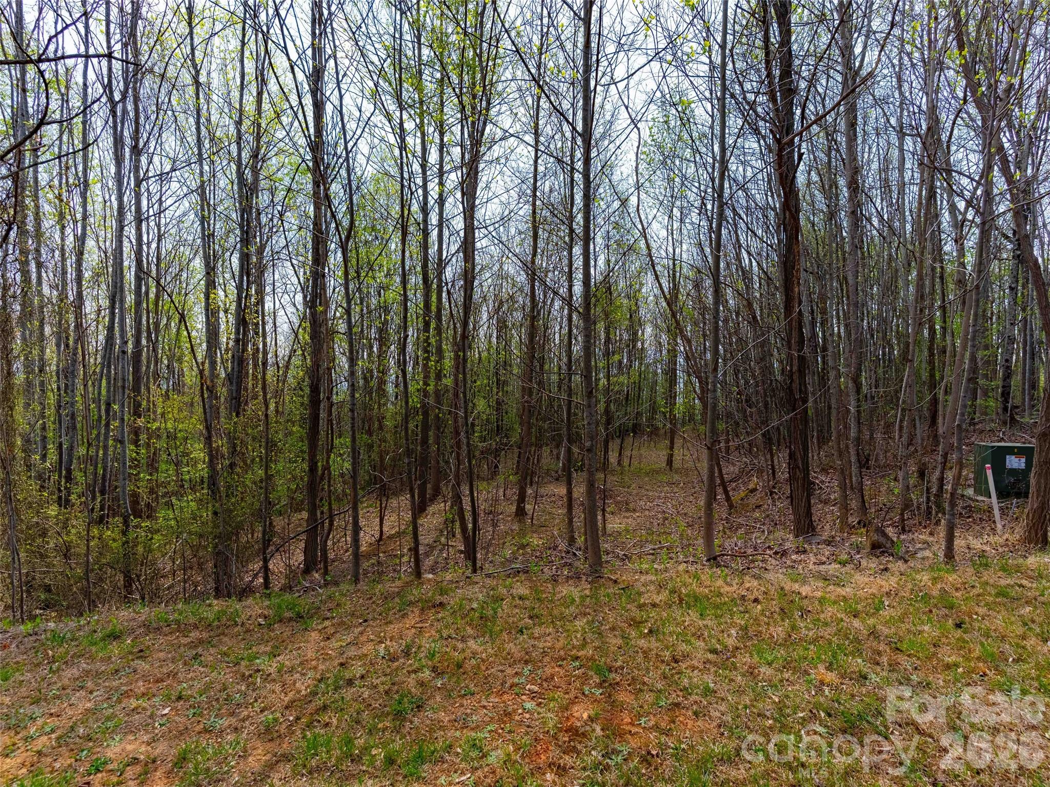 Brights Creek - Land