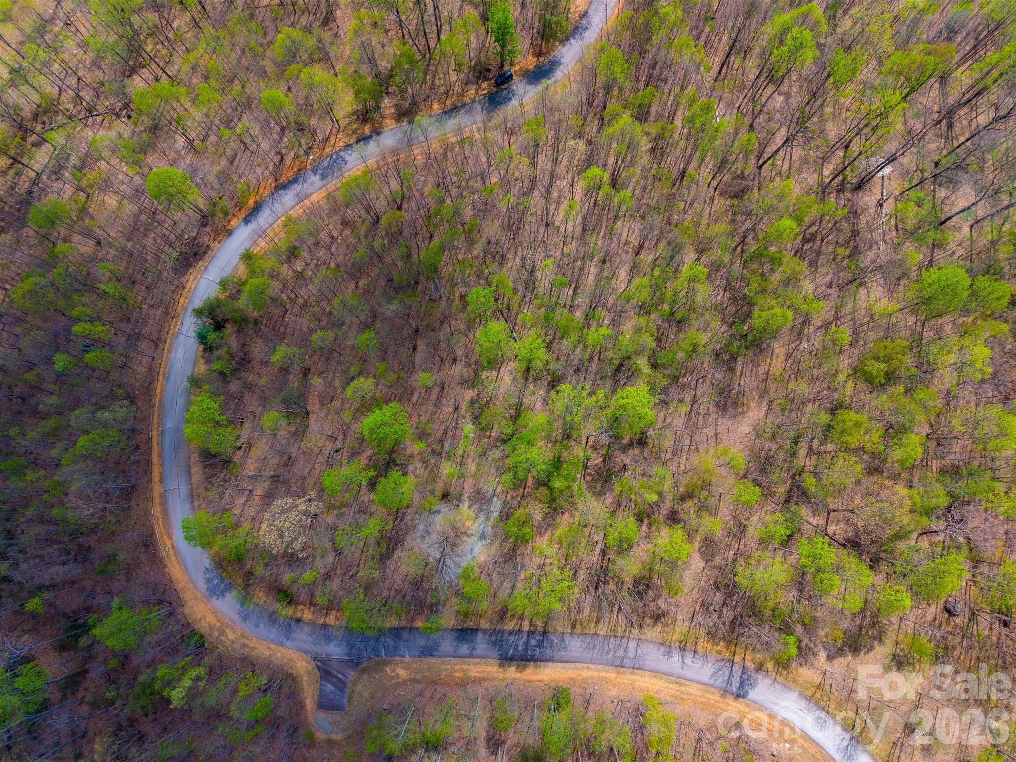 Brights Creek - Land
