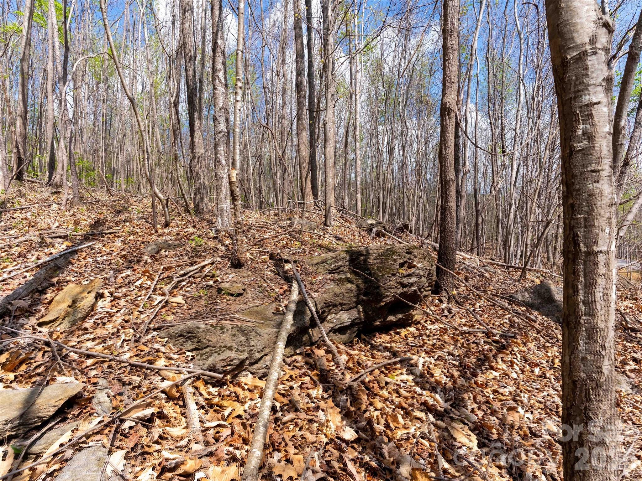 Brights Creek - Land