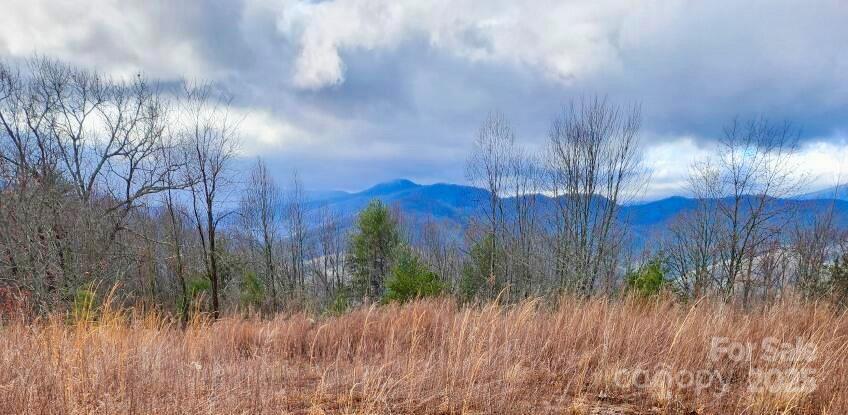 French Broad Crossing - Land