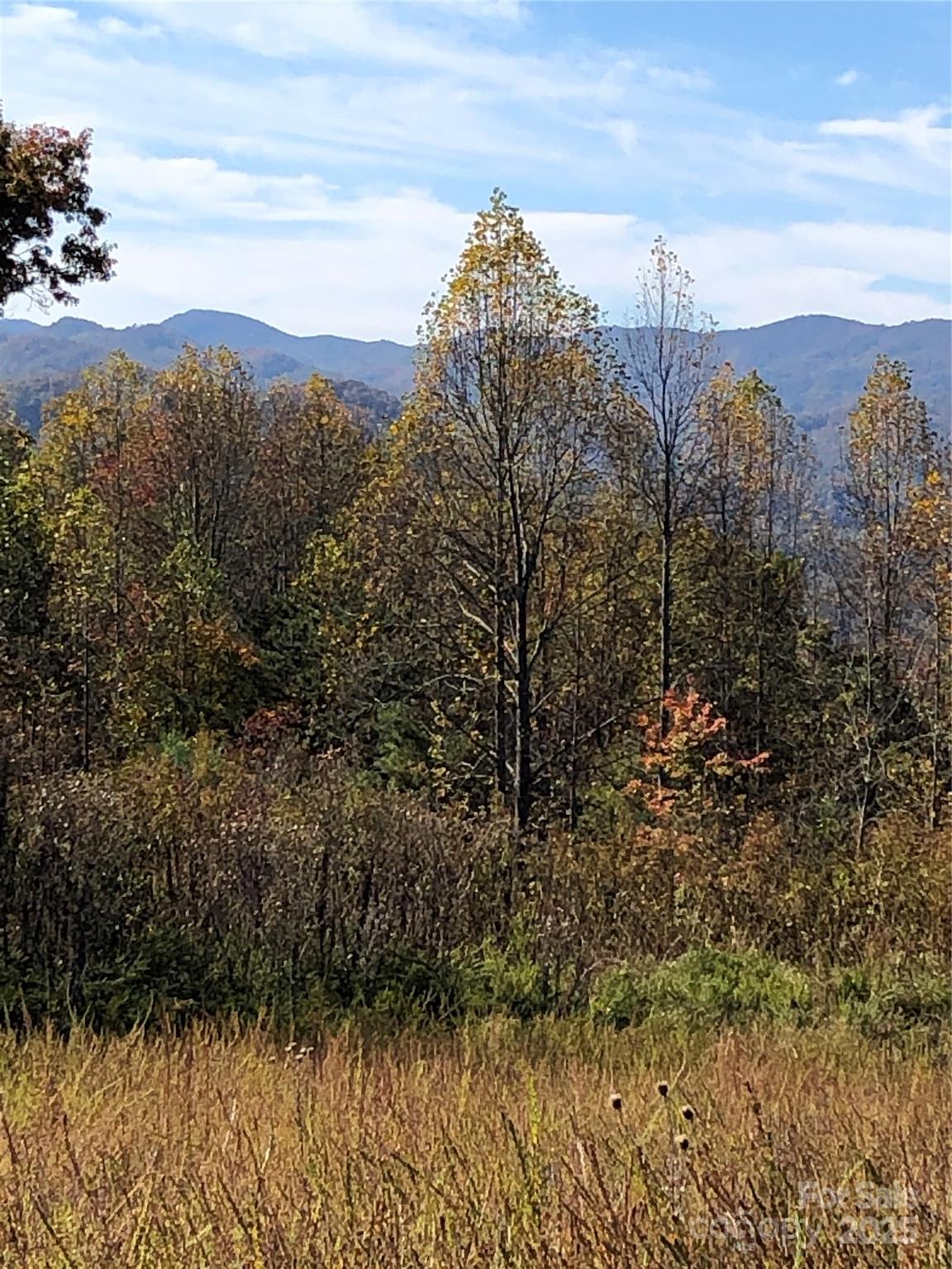 French Broad Crossing - Land