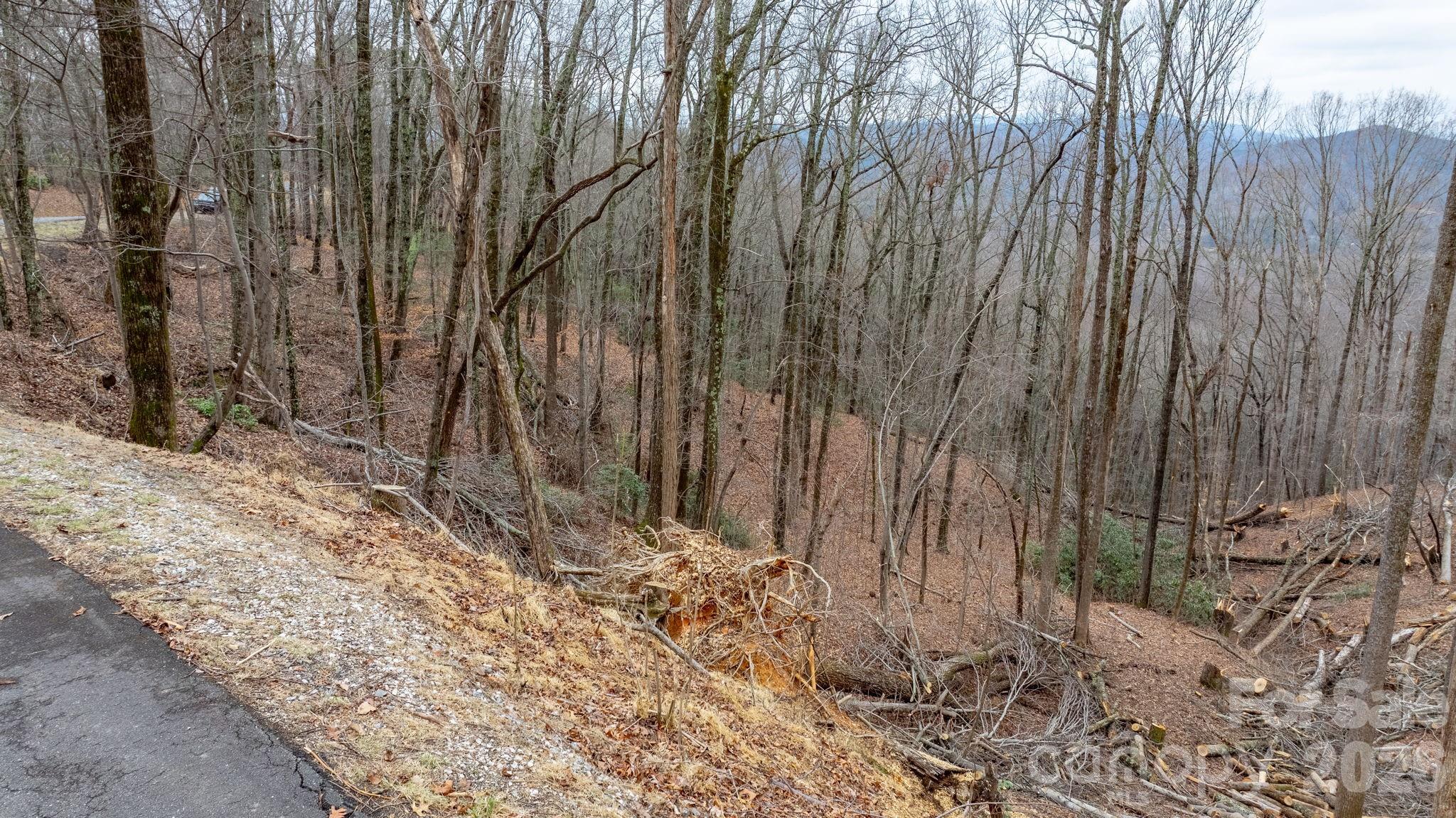 Grants Mountain Estates - Land