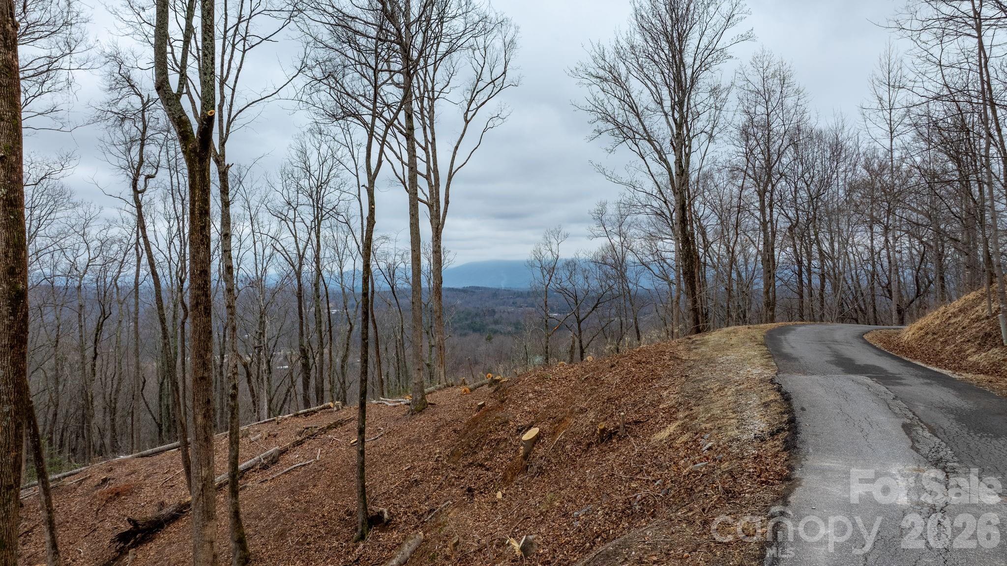 Grants Mountain Estates - Land