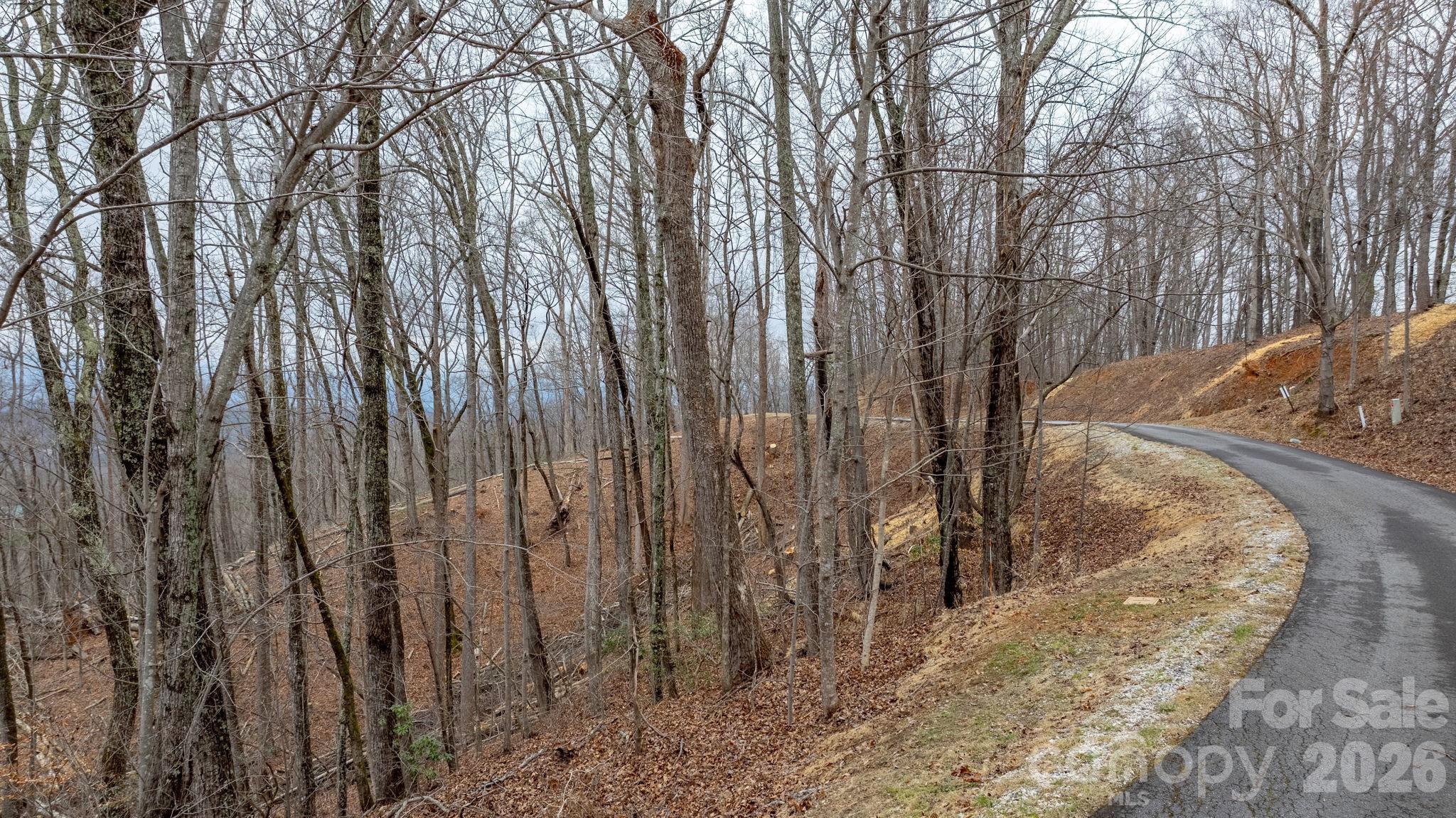 Grants Mountain Estates - Land