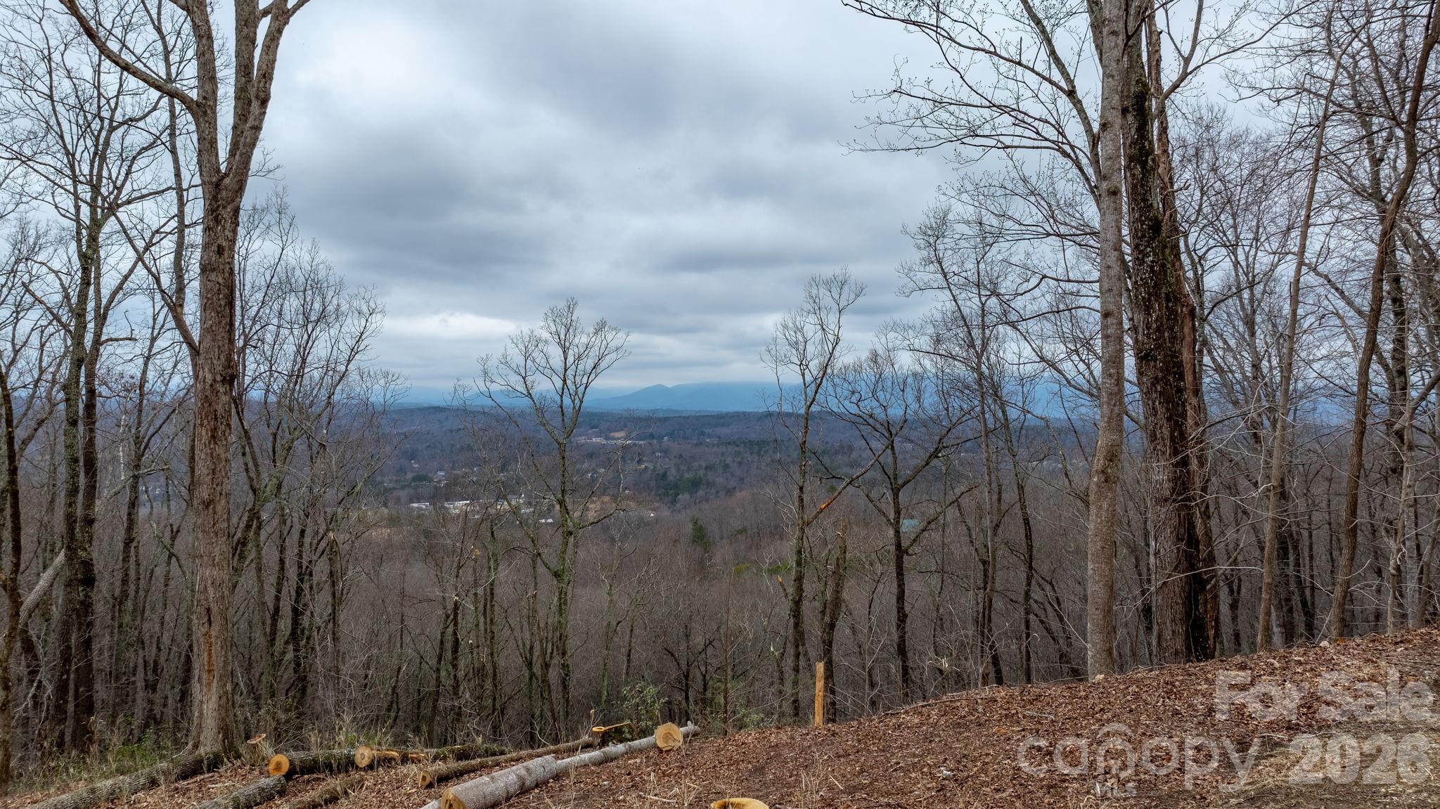 Grants Mountain Estates - Land