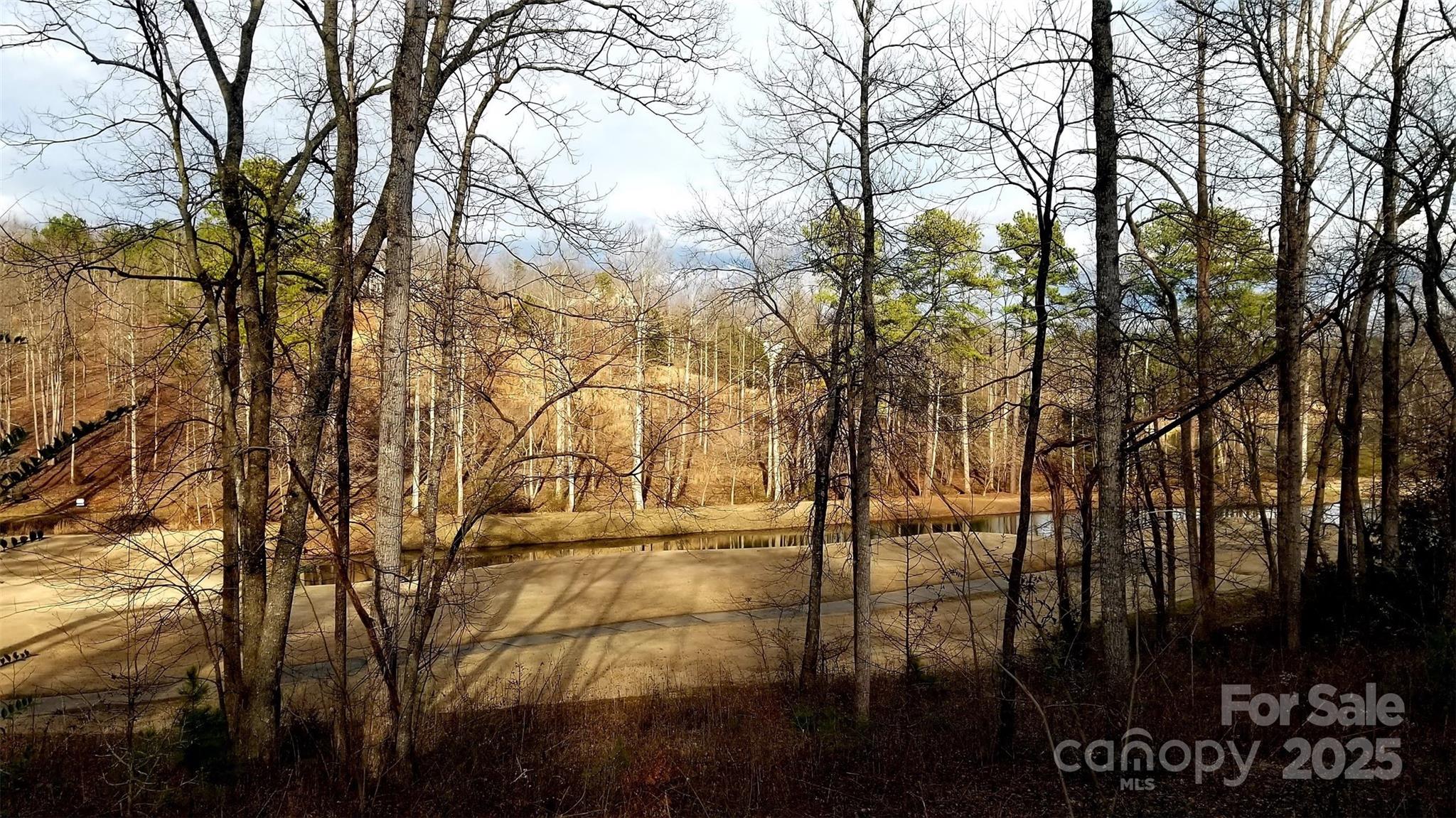 Silver Creek Plantation - Land