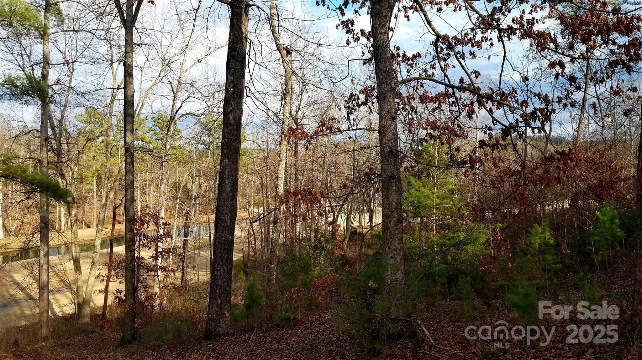Silver Creek Plantation - Land