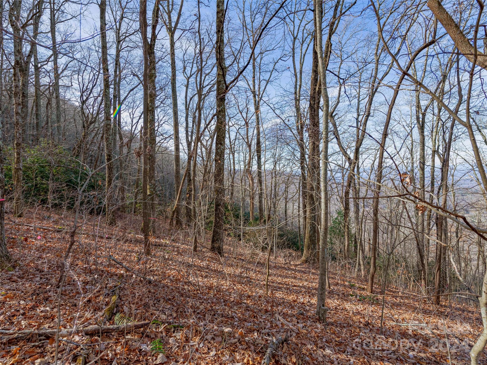 Ridge View Estates - Land