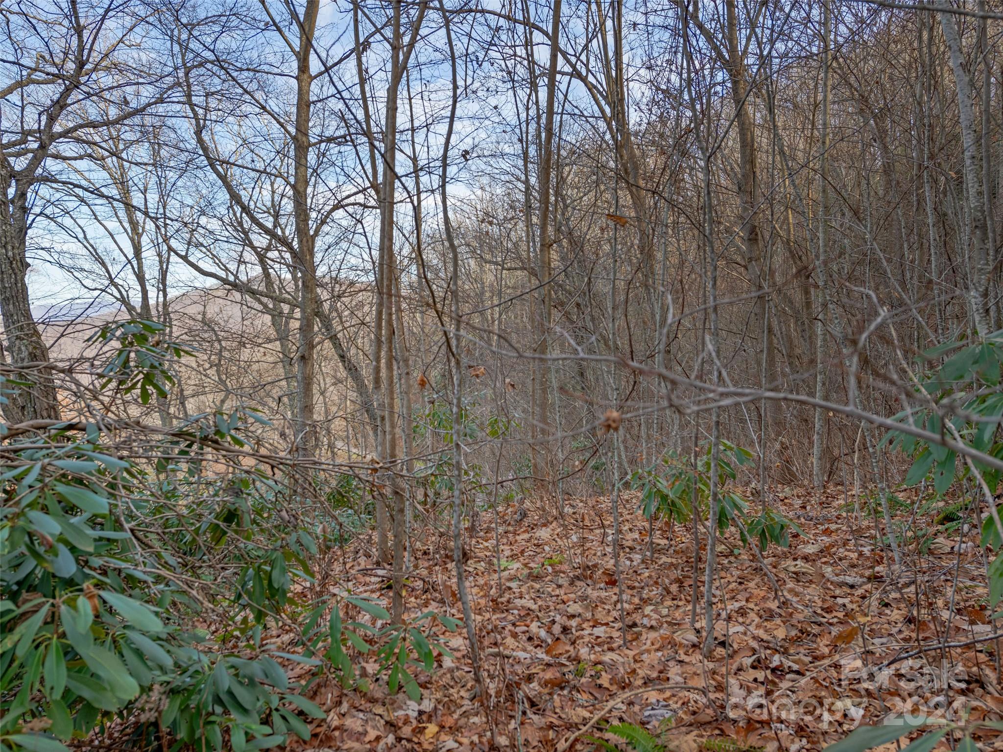 Ridge View Estates - Land