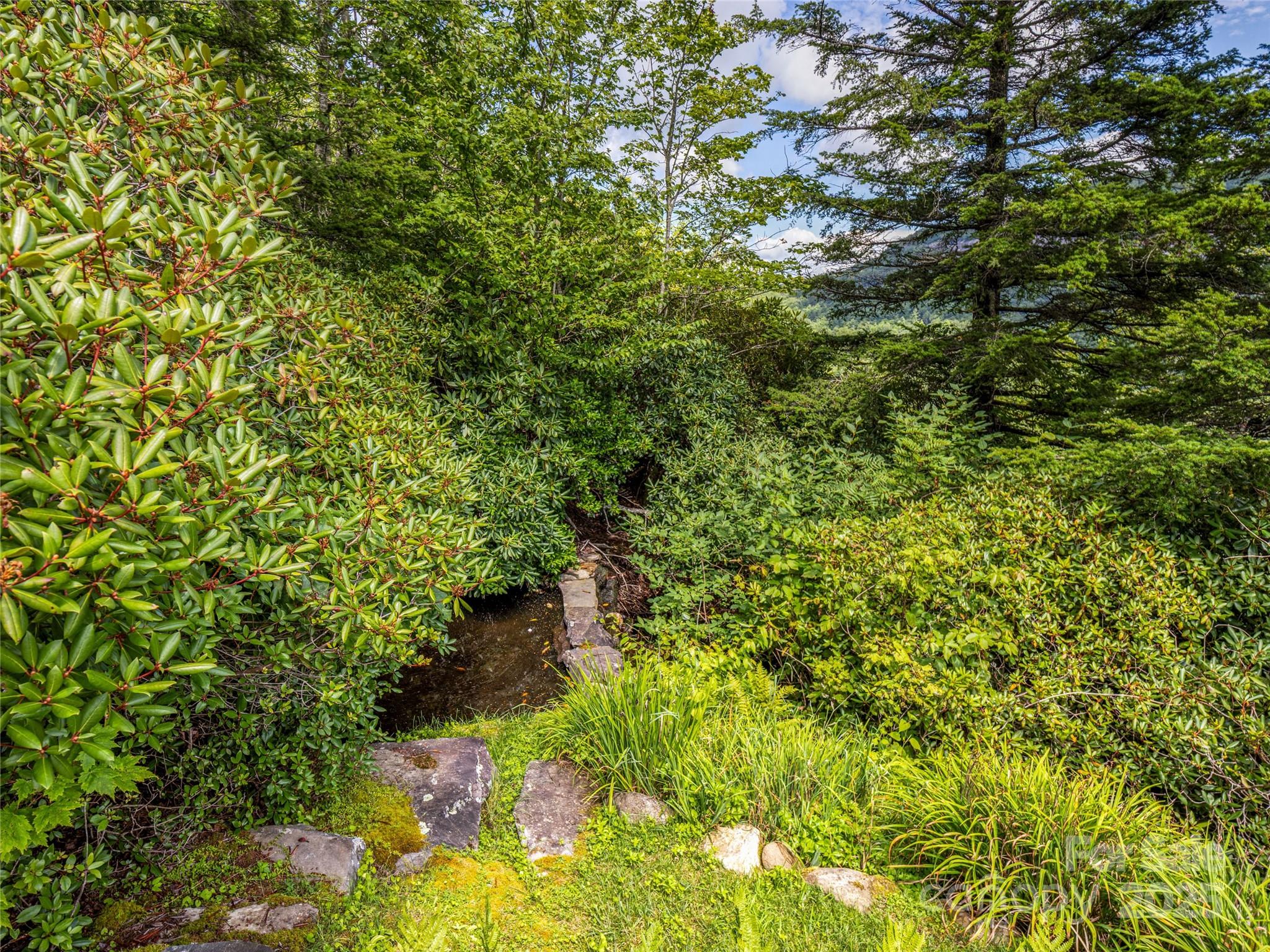 Lake Toxaway Estates - Residential