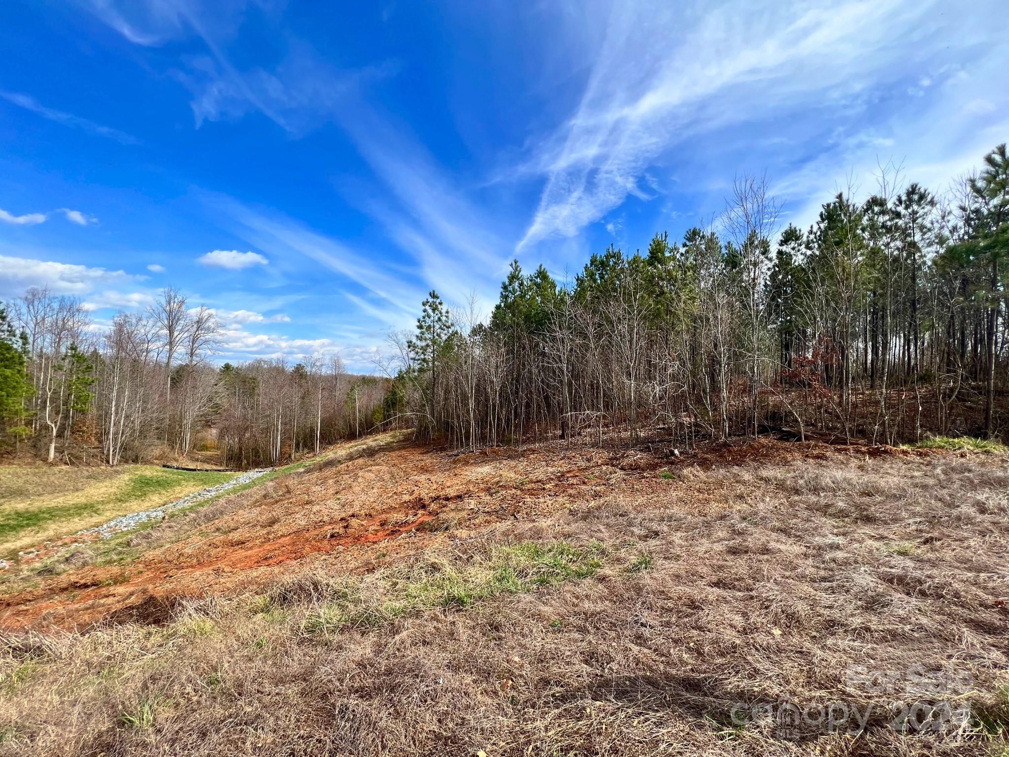 Davidson Pond - Land