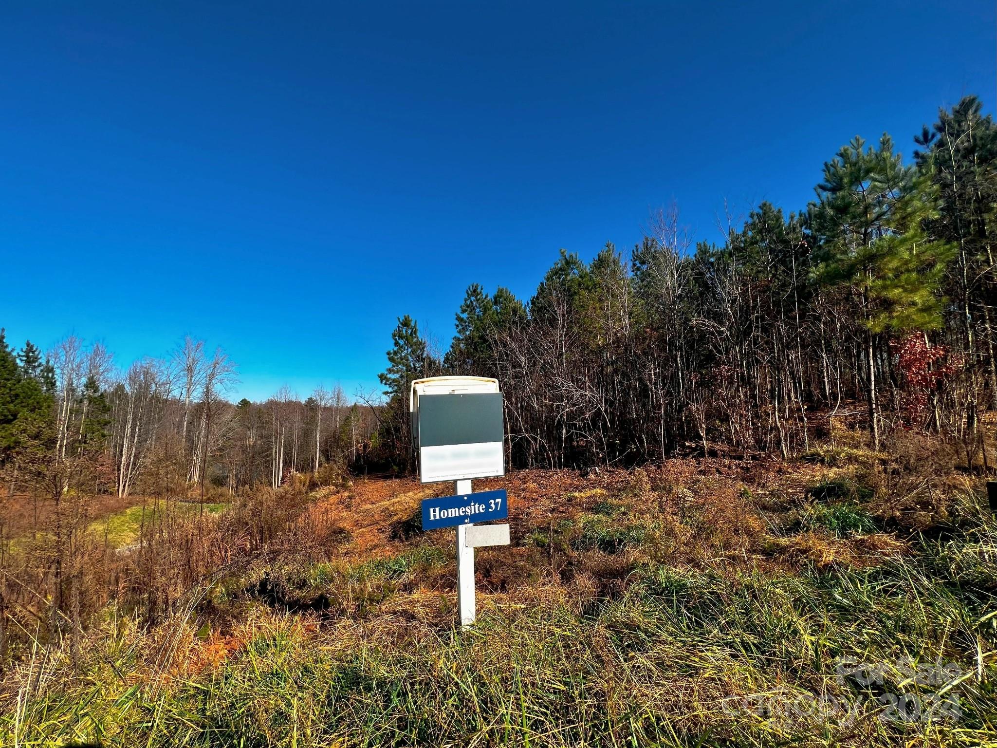 Davidson Pond - Land