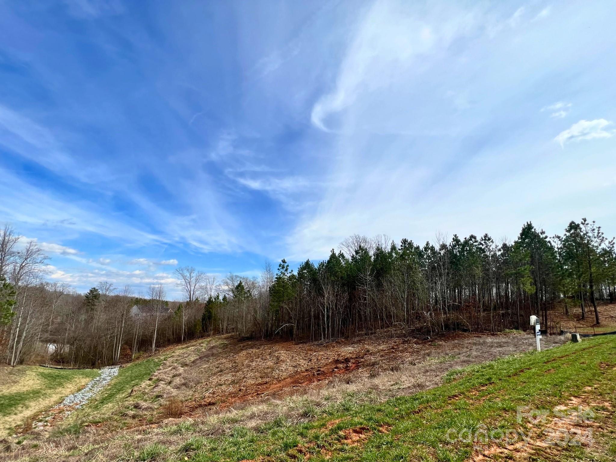Davidson Pond - Land