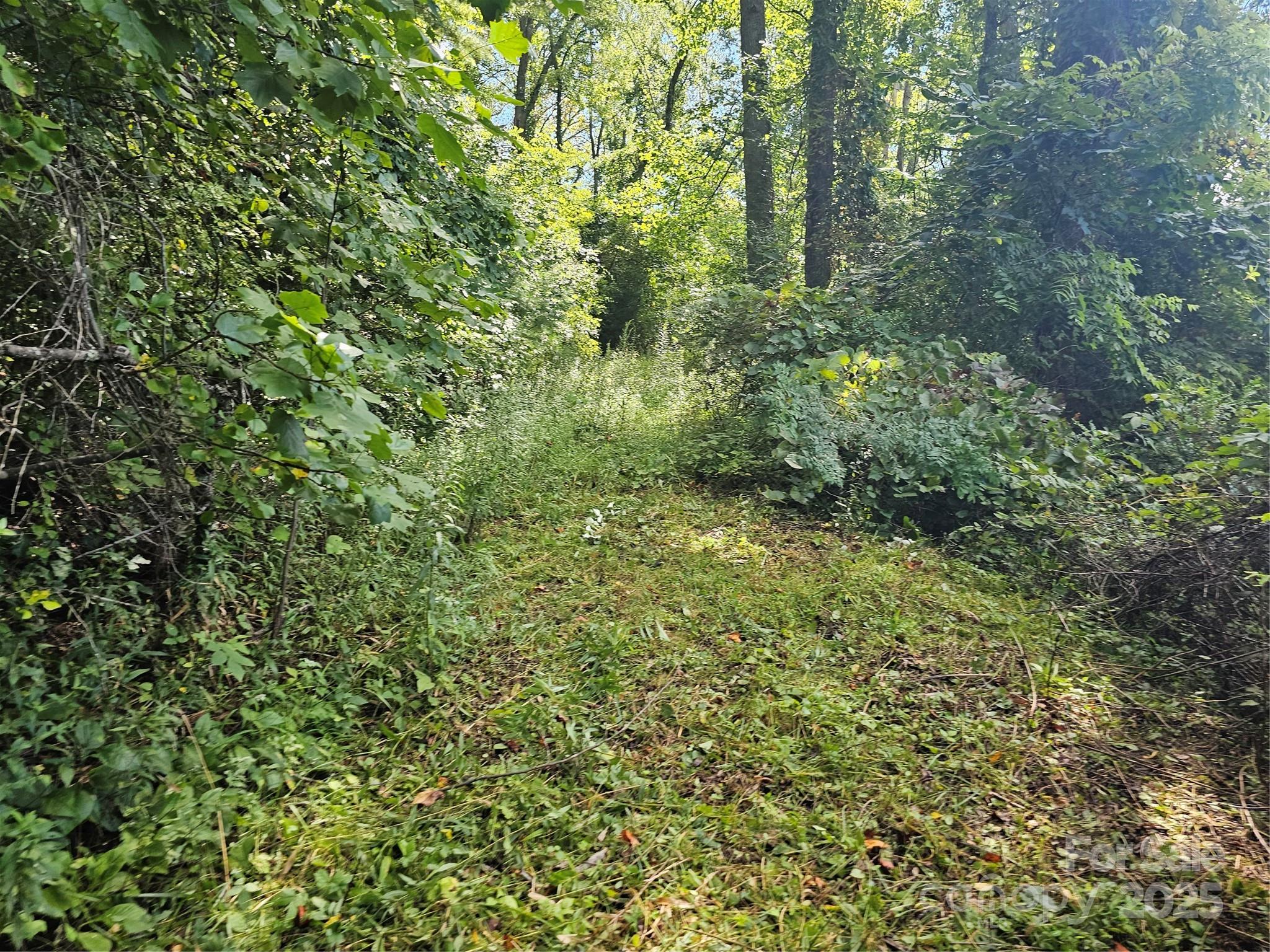 Crest Mountain - Land
