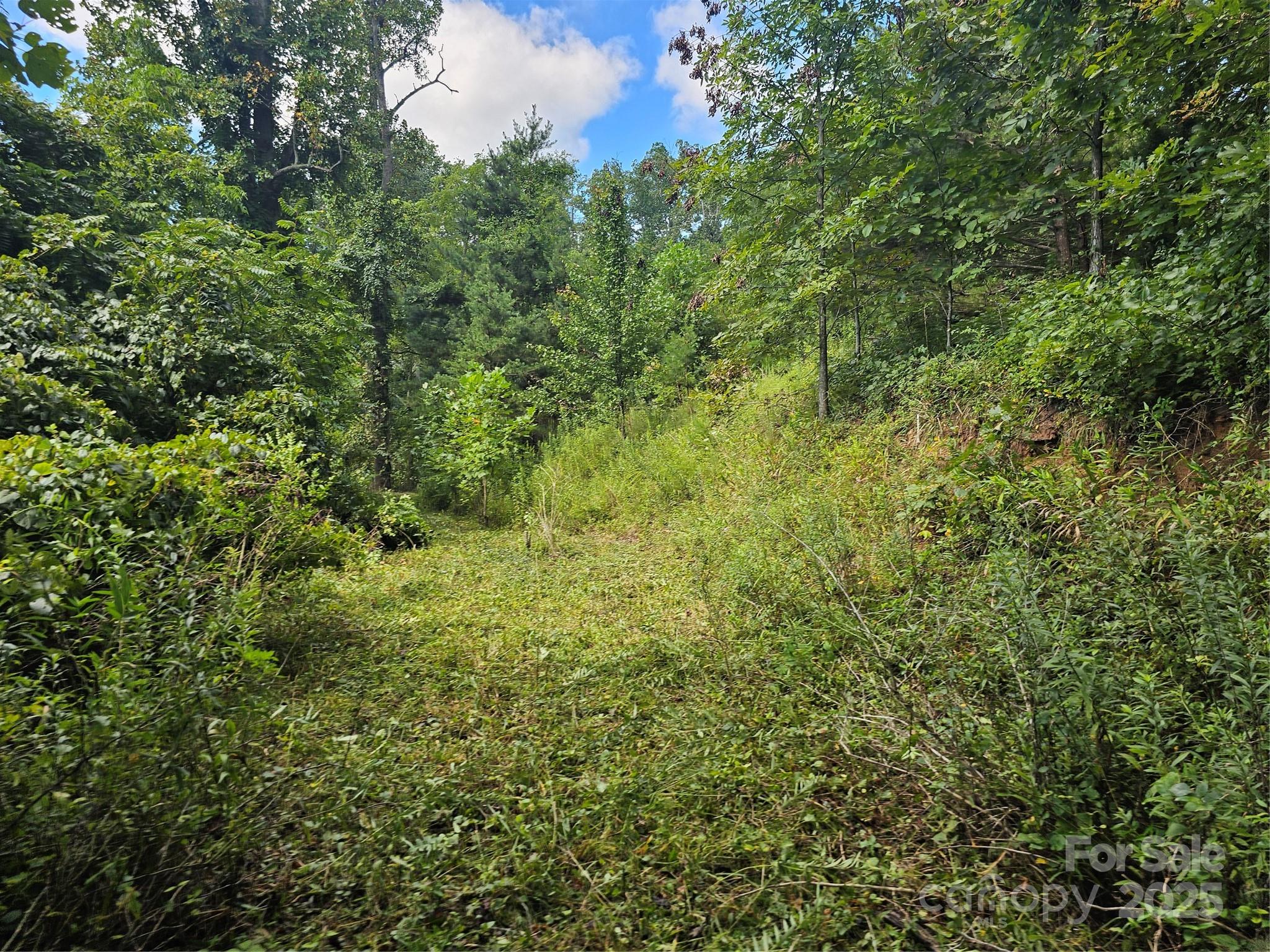 Crest Mountain - Land