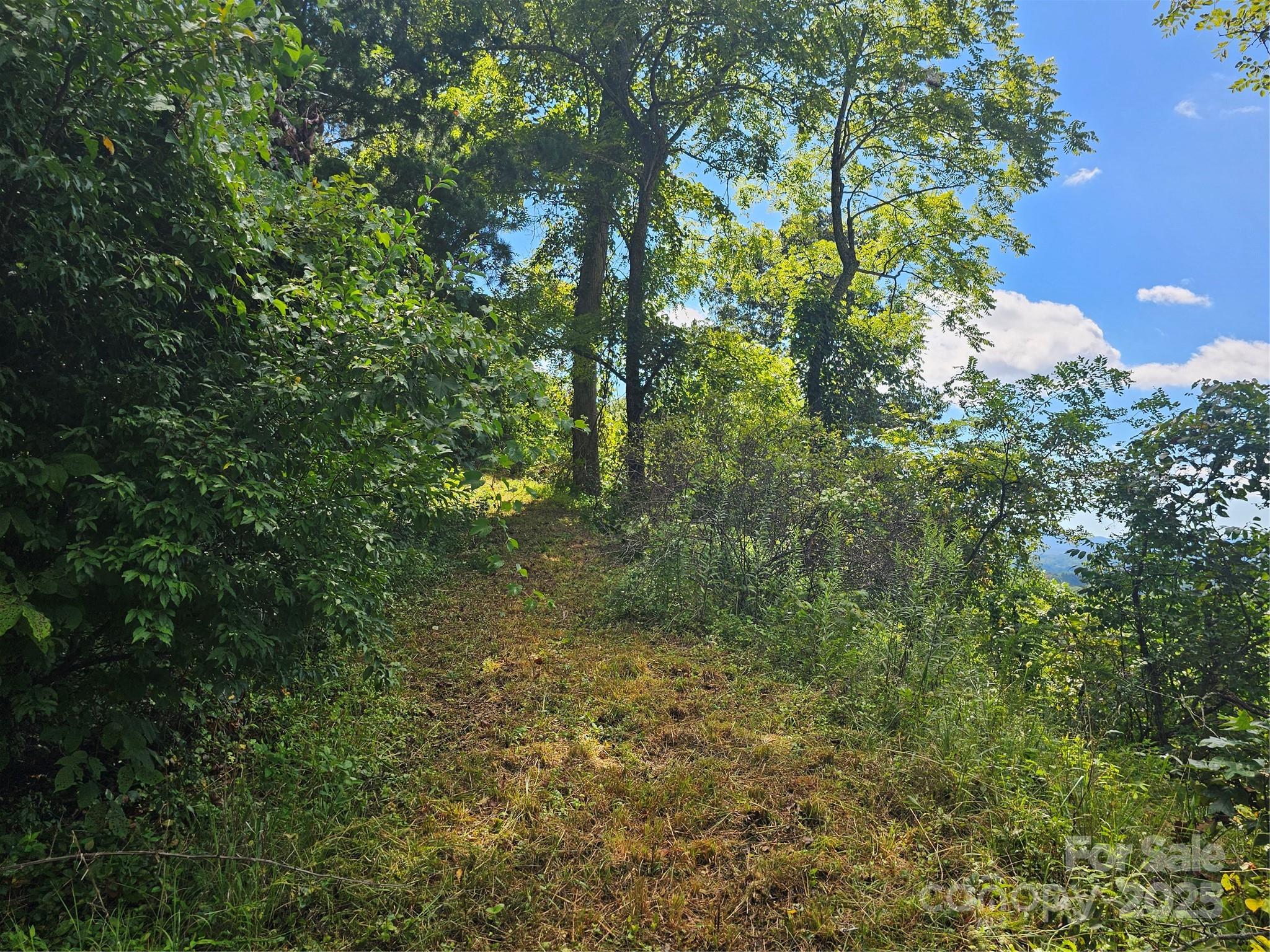 Crest Mountain - Land