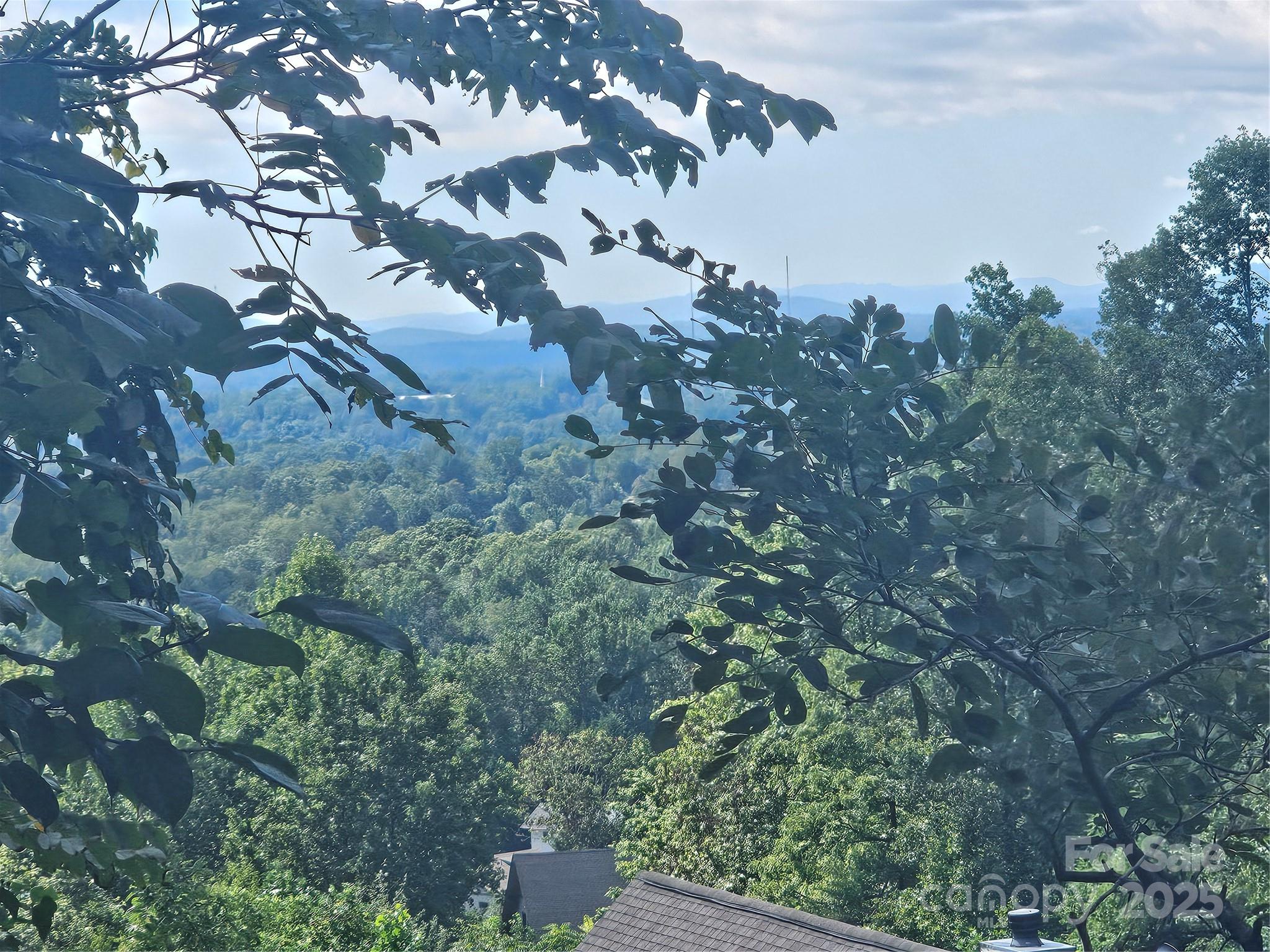 Crest Mountain - Land