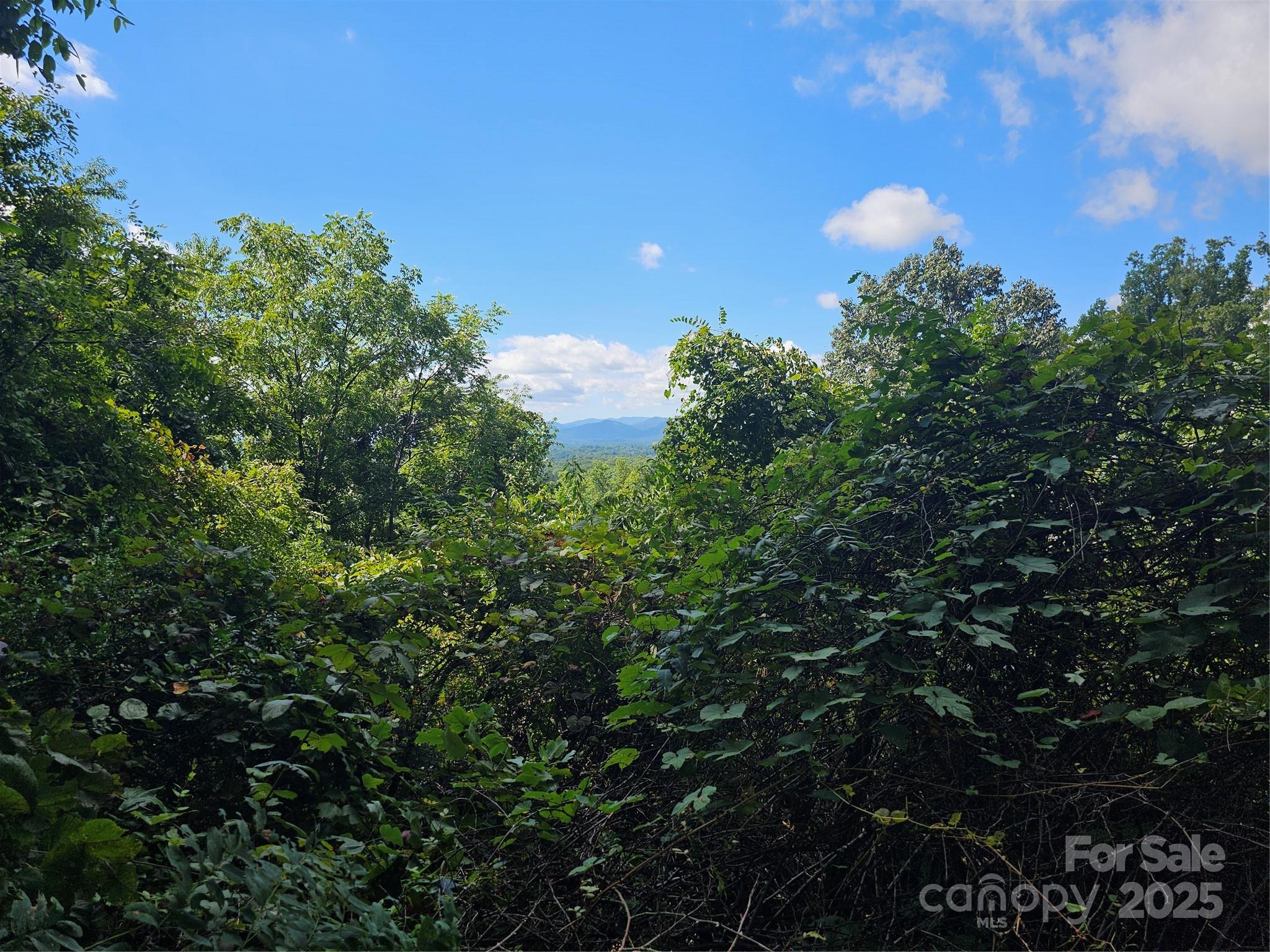 Crest Mountain - Land