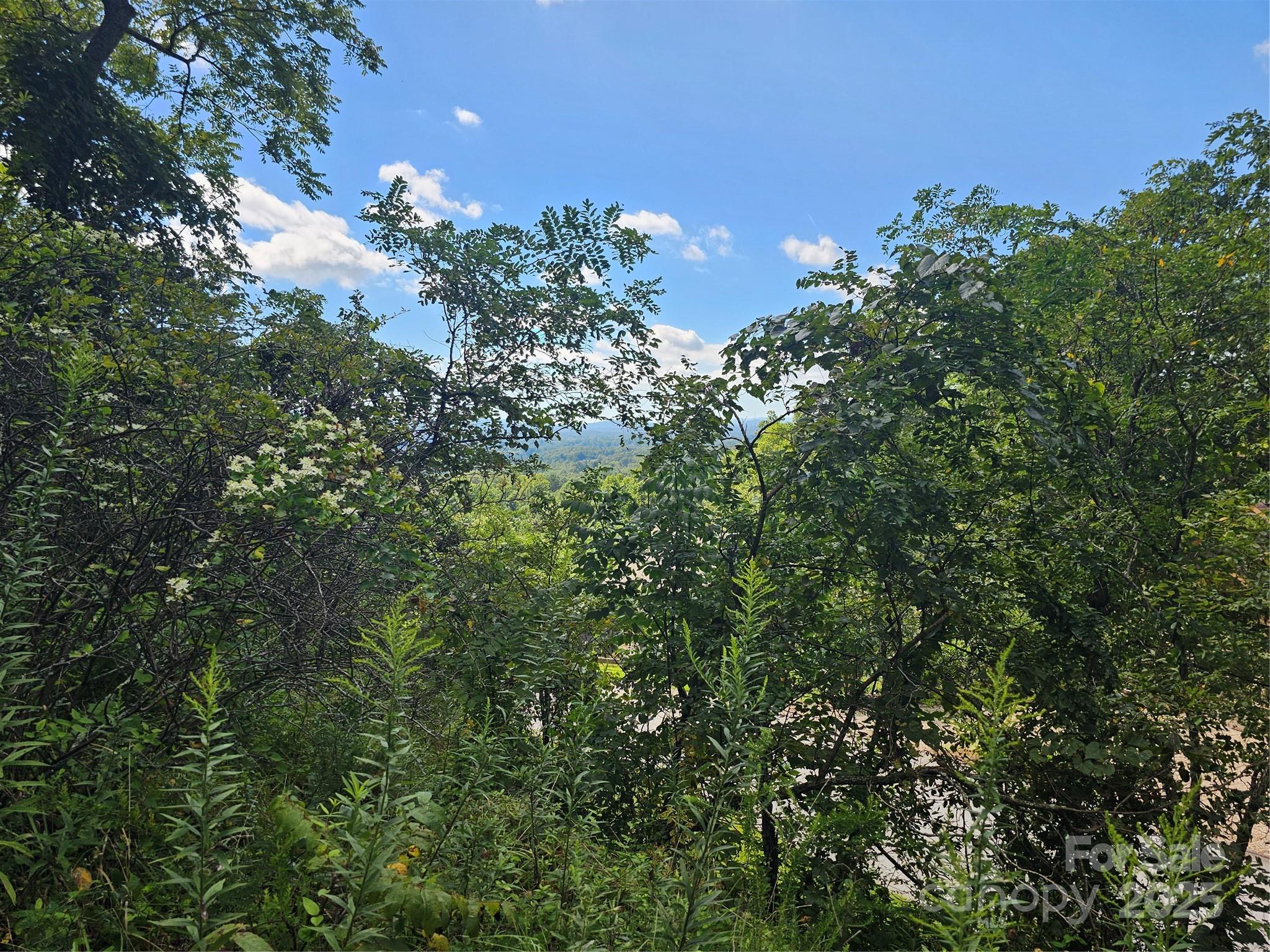 Crest Mountain - Land