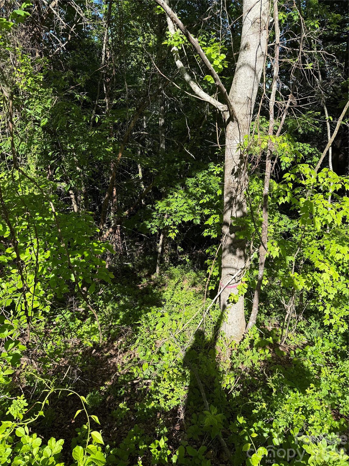 Hunters Ridge - Land